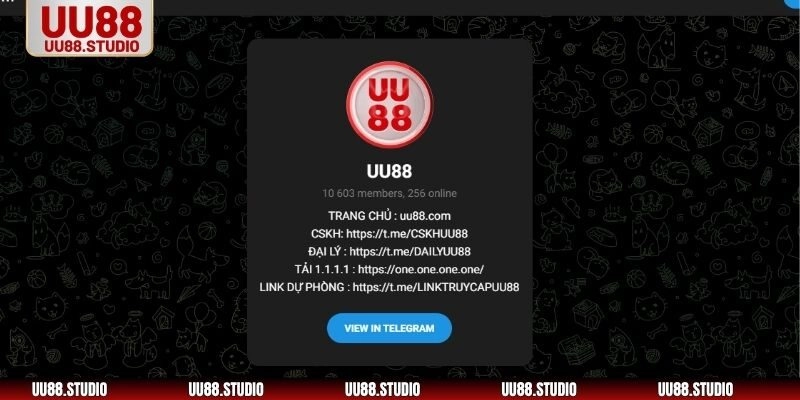 UU88 luôn đặt quyền lợi khách hàng lên hàng đầu